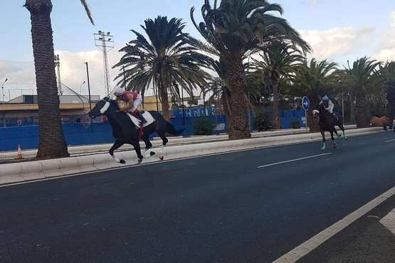 Carreras de caballos en Telde por San Gregorio (Foto TA y TF)